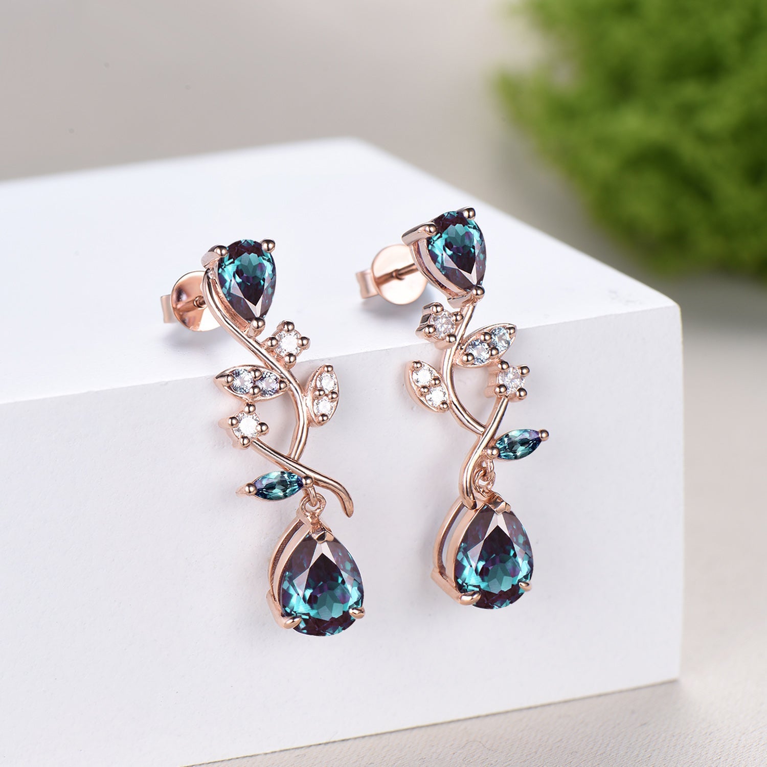 Earrings